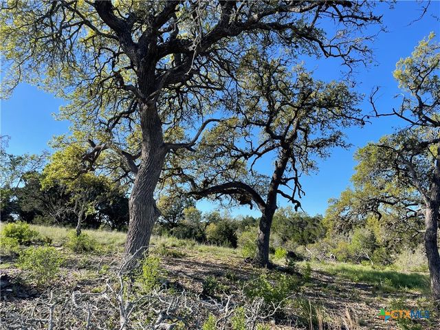 838 Rutherford, Fischer, TX 78623