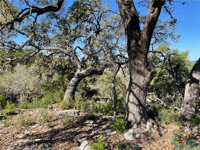 838 Rutherford, Fischer, TX 78623