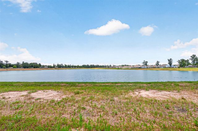 12324 N Chestnut Hills Drive, Conroe, TX 77303