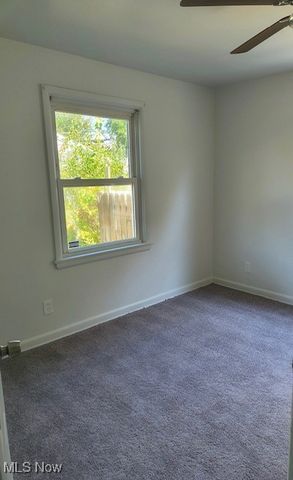 3509 Lenox, Youngstown, OH 44502