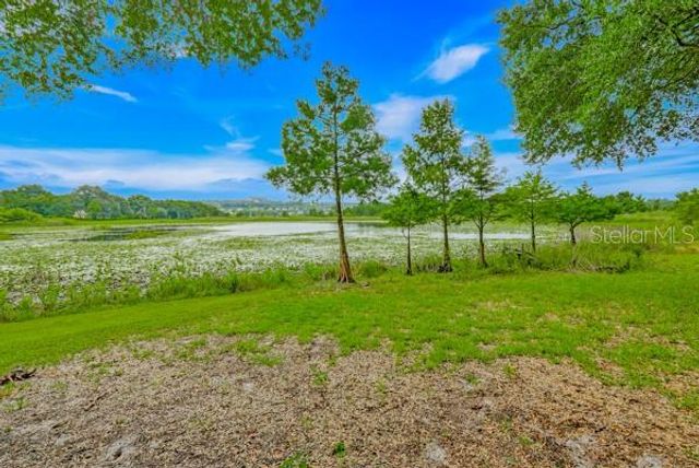 14436 CLERANDO DR, Clermont, FL 34711