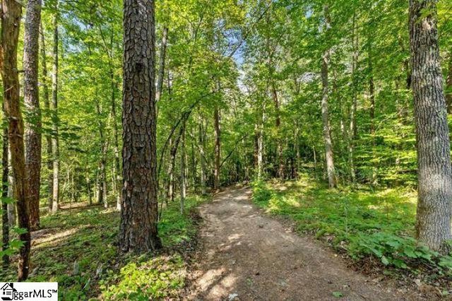300 Chastain Hill Road, Taylors, SC 29687