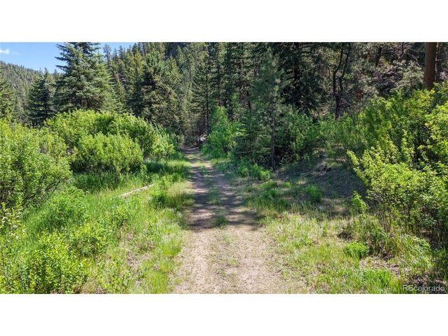 3820 County Road 68, Bailey, CO 80421