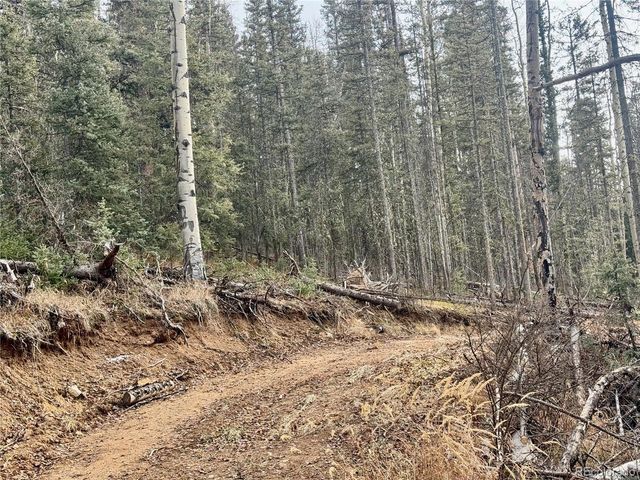 Ryland Rd, San Luis, CO 81152