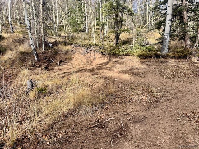 Ryland Rd, San Luis, CO 81152