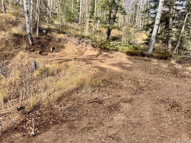 Ryland Rd, San Luis, CO 81152