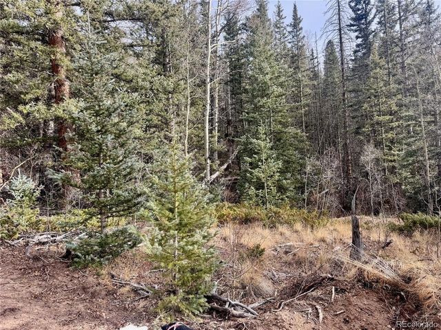 Ryland Rd, San Luis, CO 81152