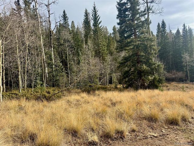 Ryland Rd, San Luis, CO 81152