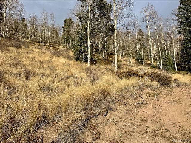 Ryland Rd, San Luis, CO 81152
