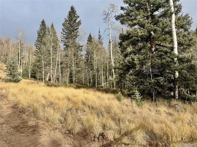 Ryland Rd, San Luis, CO 81152
