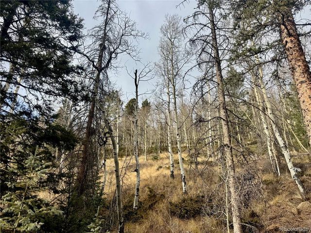 Ryland Rd, San Luis, CO 81152