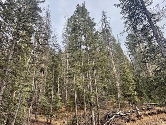 Ryland Rd, San Luis, CO 81152