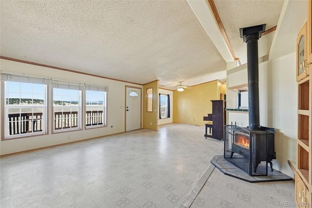 4441 Goldenburg Canyon Road, Hartsel, CO 80449