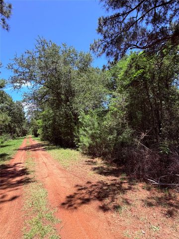 TBD LOT 7 Lakeshore Drive, Hempstead, TX 77445