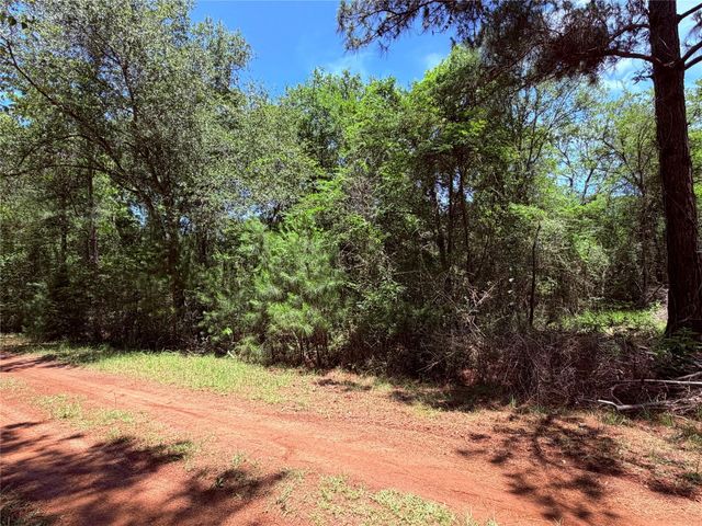 TBD LOT 7 Lakeshore Drive, Hempstead, TX 77445