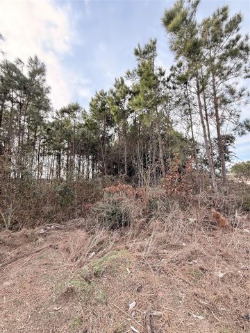 10024 Road 5868, Dayton, TX 77535