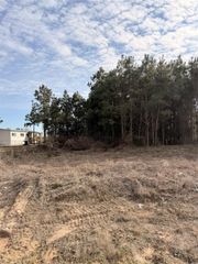 10024 Road 5868, Dayton, TX 77535