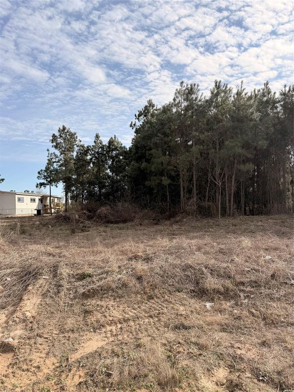 10024 Road 5868, Dayton, TX 77535