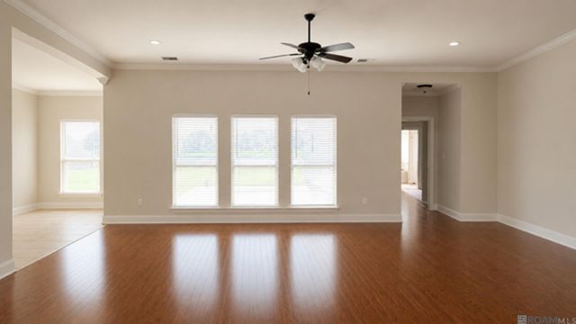 14019 Emma Way Cove Dr, Gonzales, LA 70737