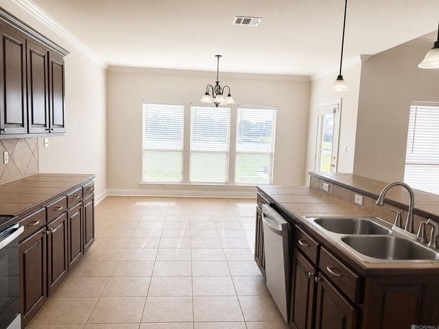 14019 Emma Way Cove Dr, Gonzales, LA 70737