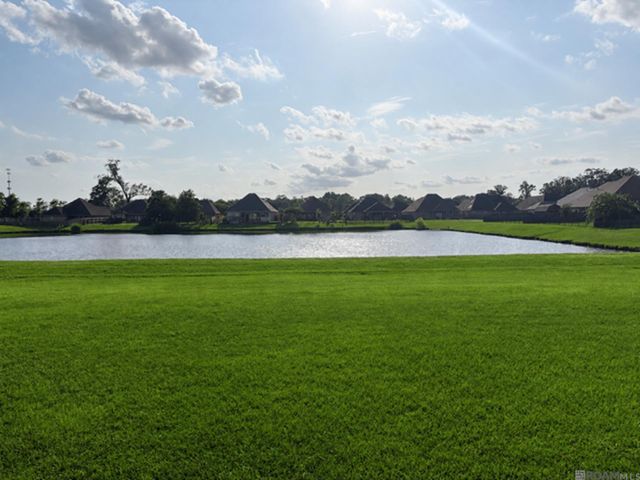 14019 Emma Way Cove Dr, Gonzales, LA 70737