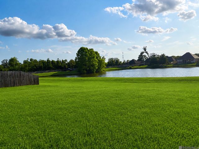 14019 Emma Way Cove Dr, Gonzales, LA 70737