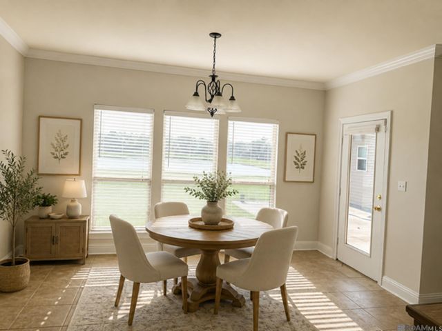 14019 Emma Way Cove Dr, Gonzales, LA 70737