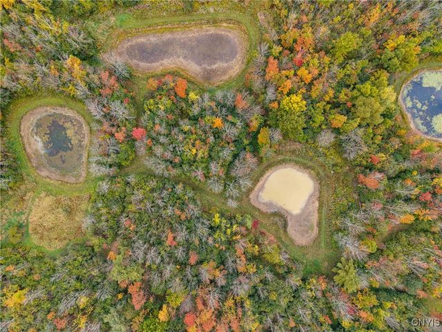 4567 Christian Road, Ossian, NY 14437