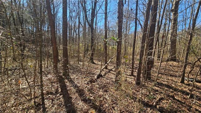 0 Cook Drive, Ellenwood, GA 30294