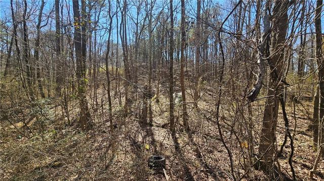 0 Cook Drive, Ellenwood, GA 30294