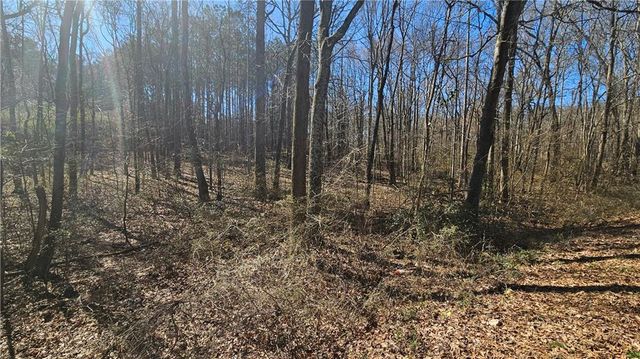 0 Cook Drive, Ellenwood, GA 30294