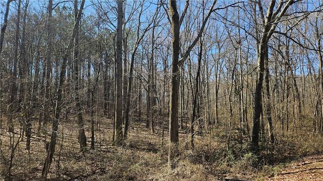 0 Cook Drive, Ellenwood, GA 30294