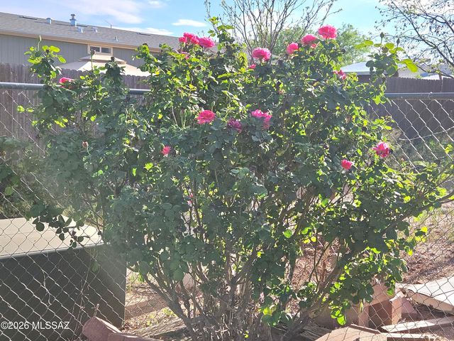 3145 W Citrus Road, Benson, AZ 85602