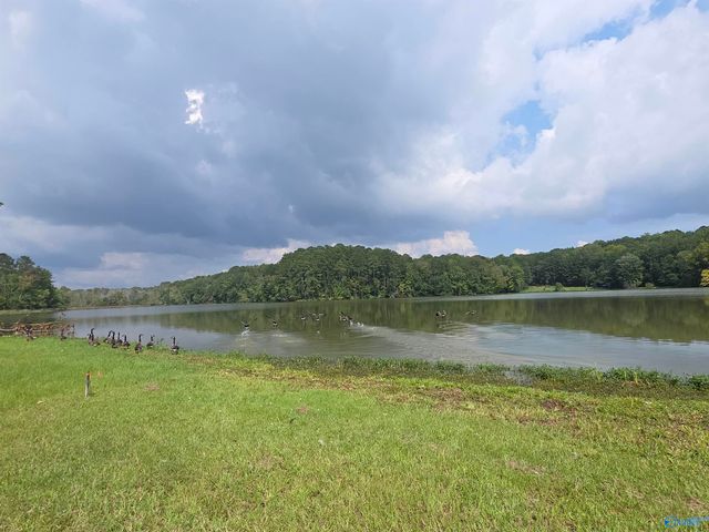 Lot 13 County Road 92, Cedar Bluff, AL 35959