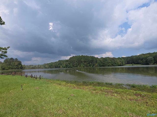 Lot 13 County Road 92, Cedar Bluff, AL 35959