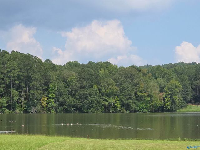 Lot 13 County Road 92, Cedar Bluff, AL 35959