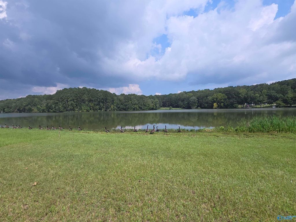 Lot 13 County Road 92, Cedar Bluff, AL 35959