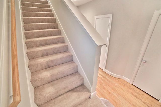3719 Main Poplar Drive, Houston, TX 77025