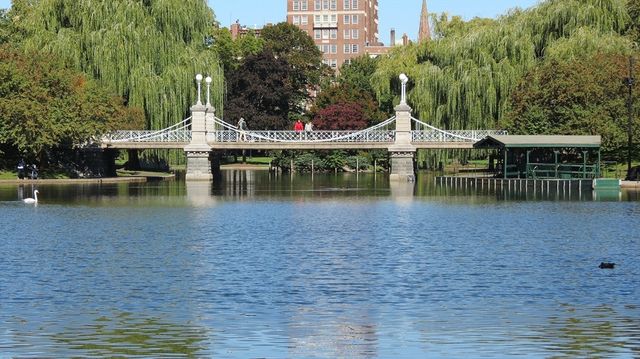 92 Beacon Street 51, Boston, MA 02108
