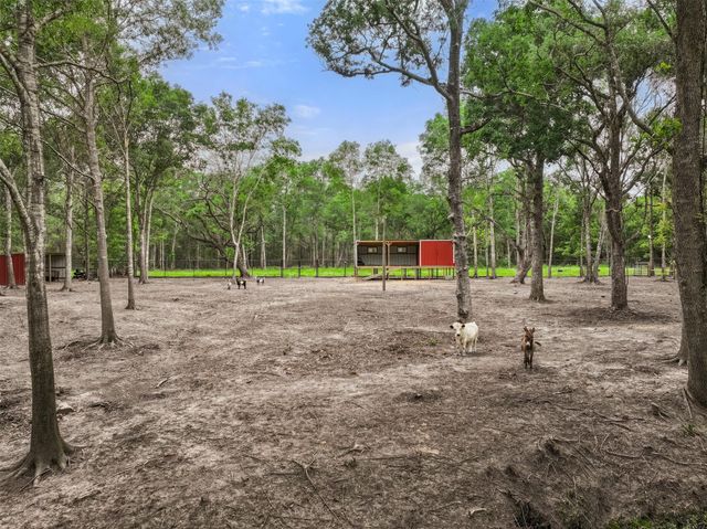 6310 Wickwillow Lane, Alvin, TX 77511