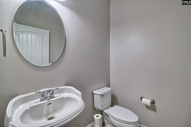 208 Woolbright Lane, Chapin, SC 29036