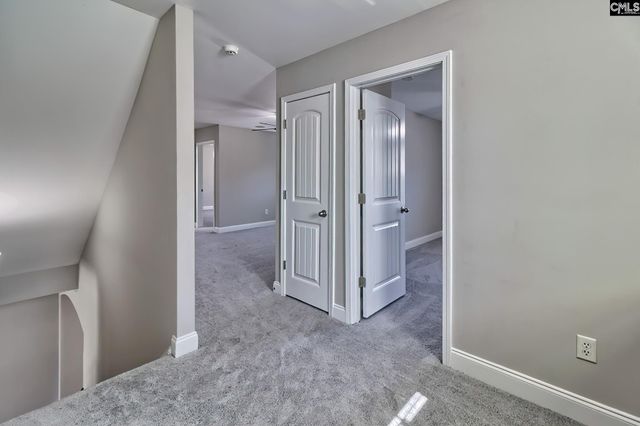 208 Woolbright Lane, Chapin, SC 29036