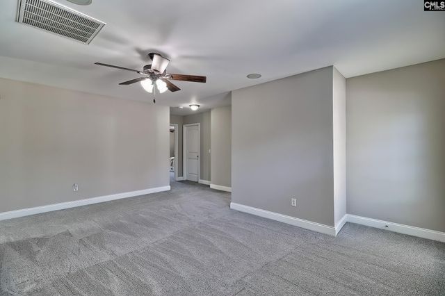 208 Woolbright Lane, Chapin, SC 29036