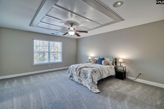 208 Woolbright Lane, Chapin, SC 29036