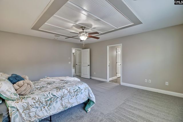 208 Woolbright Lane, Chapin, SC 29036