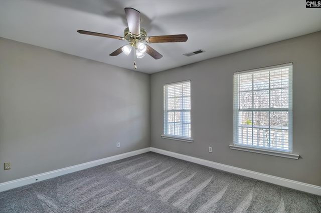 208 Woolbright Lane, Chapin, SC 29036