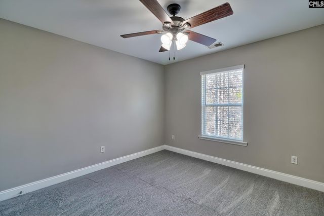 208 Woolbright Lane, Chapin, SC 29036