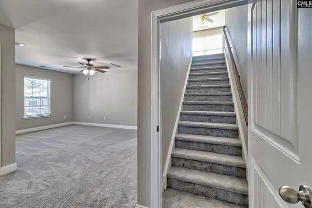 208 Woolbright Lane, Chapin, SC 29036