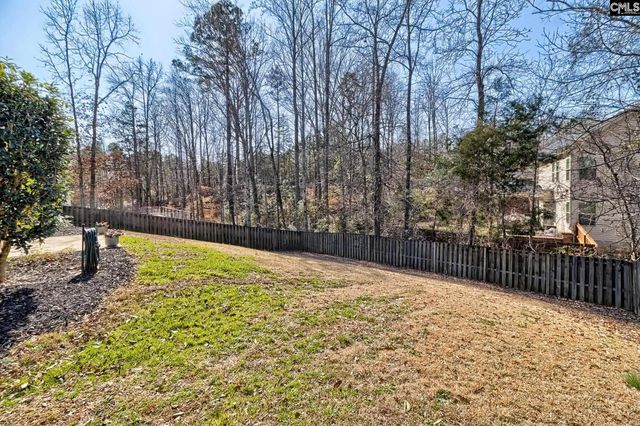 208 Woolbright Lane, Chapin, SC 29036