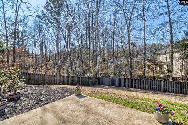 208 Woolbright Lane, Chapin, SC 29036